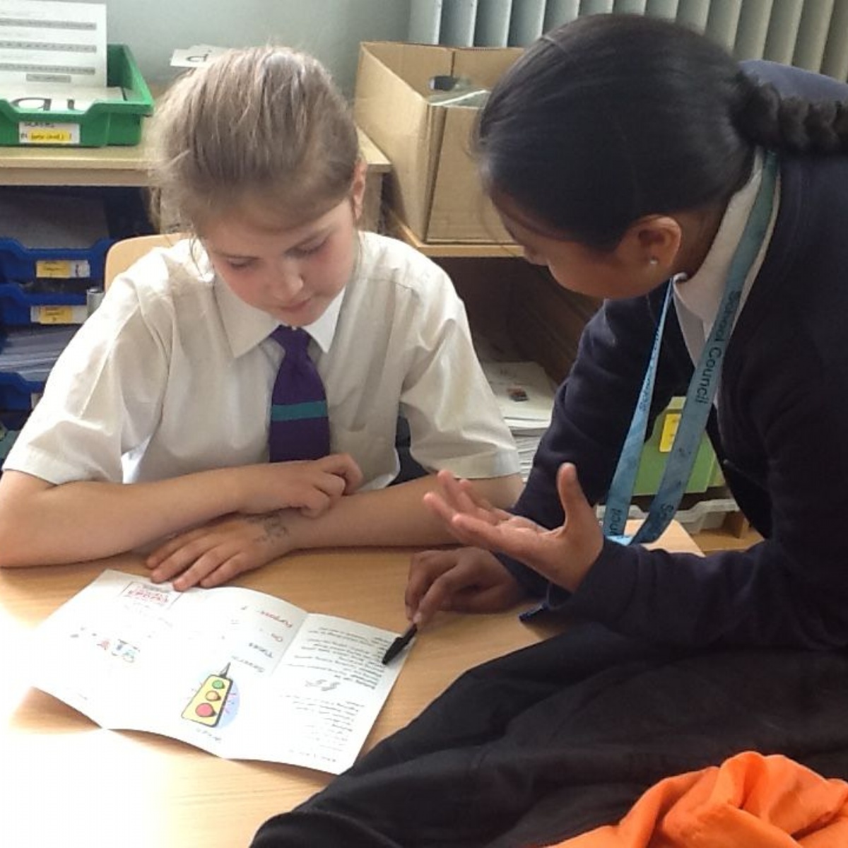 Ranelagh Primary School School Council an Inspiration for Others